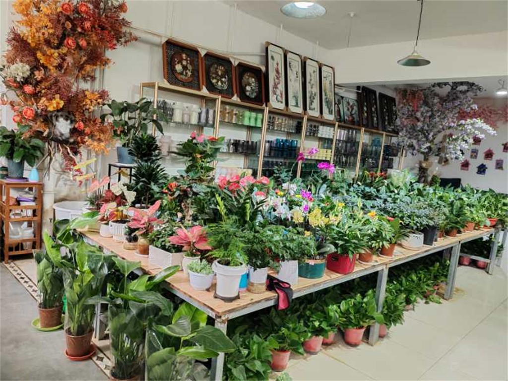 博思花藝婚慶教育，婚慶培訓，花藝培訓，插花培訓，花藝師培訓，主持人培訓，商務主持人培訓，花店運營培訓，花店全系統(tǒng)營銷，小白開花店，小白學主持，金璽棠婚慶酒店，金璽棠總部，鄭州金麻雀教育科技有限公司