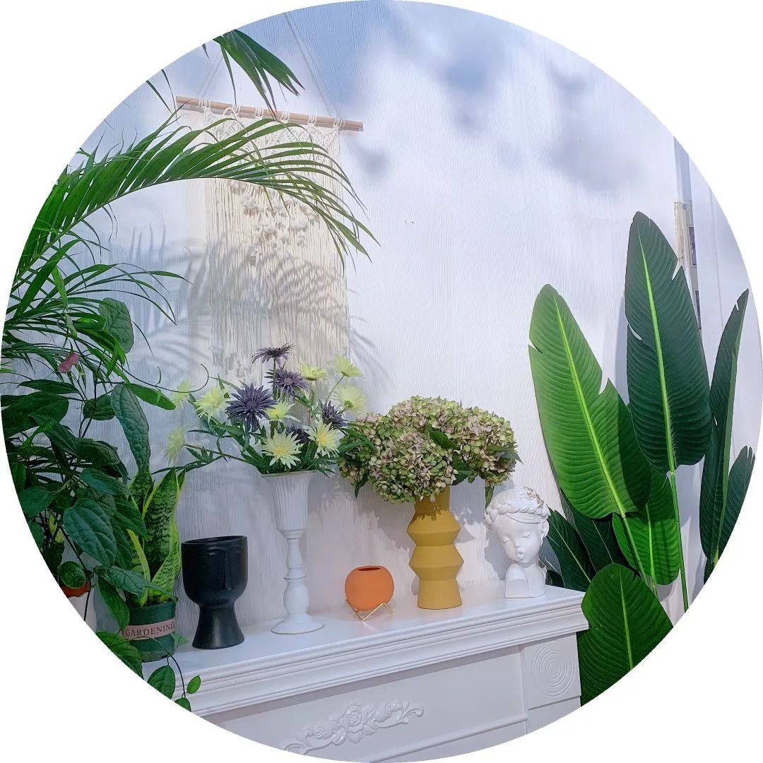 博思花藝婚慶教育，婚慶培訓，花藝培訓，插花培訓，花藝師培訓，主持人培訓，商務主持人培訓，花店運營培訓，花店全系統(tǒng)營銷，小白開花店，小白學主持，金璽棠婚慶酒店，金璽棠總部，鄭州金麻雀教育科技有限公司