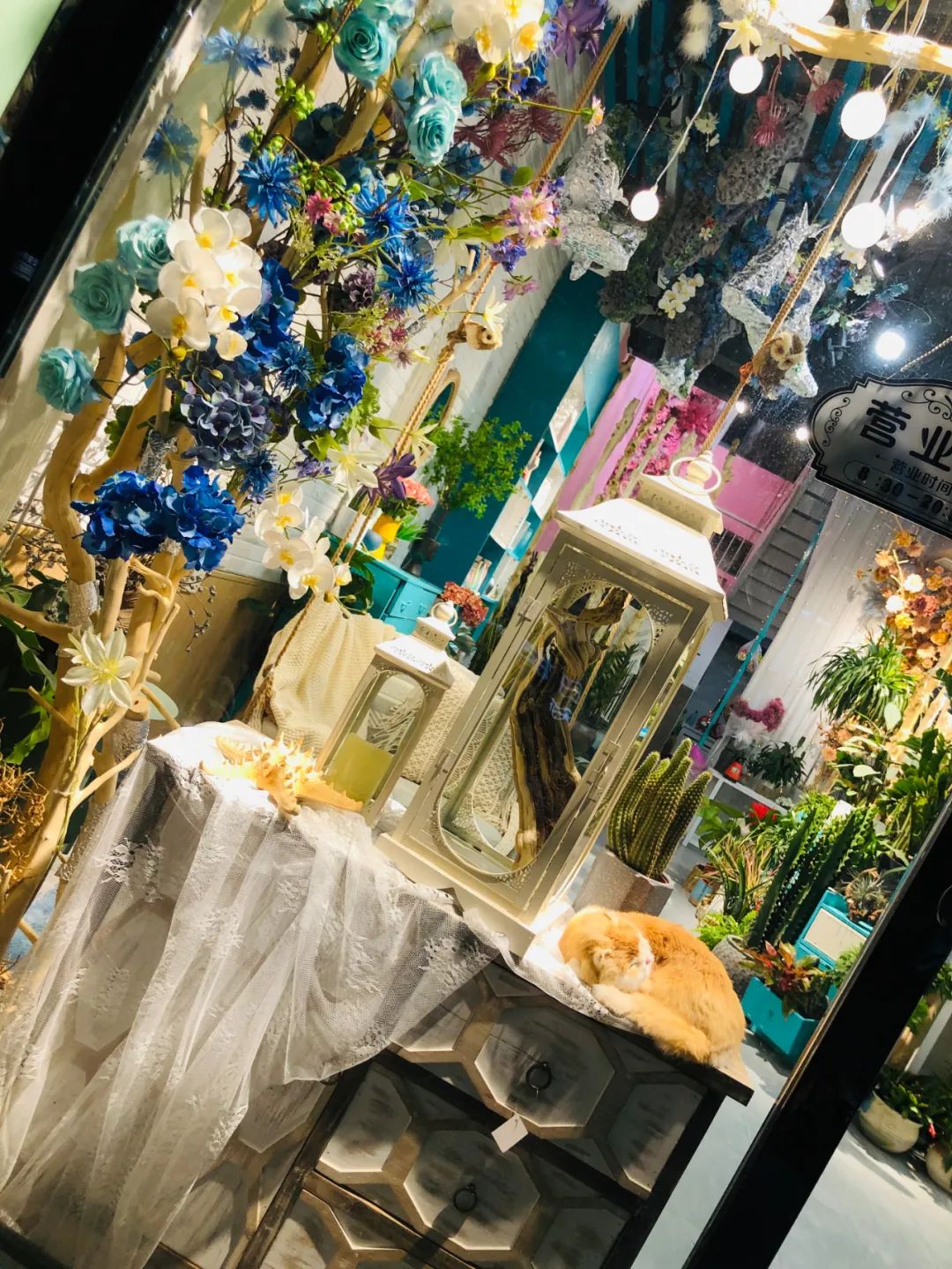 博思花藝婚慶教育，婚慶培訓，花藝培訓，插花培訓，花藝師培訓，主持人培訓，商務主持人培訓，花店運營培訓，花店全系統(tǒng)營銷，小白開花店，小白學主持，金璽棠婚慶酒店，金璽棠總部，鄭州金麻雀教育科技有限公司