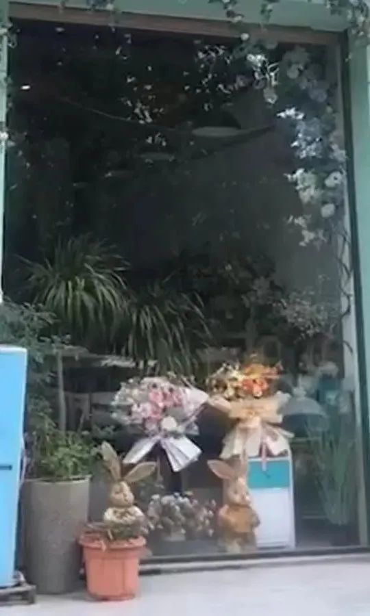 博思花藝婚慶教育，婚慶培訓，花藝培訓，插花培訓，花藝師培訓，主持人培訓，商務主持人培訓，花店運營培訓，花店全系統(tǒng)營銷，小白開花店，小白學主持，金璽棠婚慶酒店，金璽棠總部，鄭州金麻雀教育科技有限公司