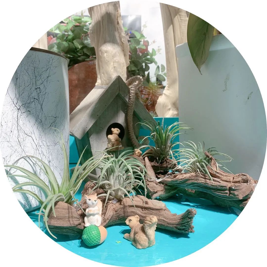 博思花藝婚慶教育，婚慶培訓，花藝培訓，插花培訓，花藝師培訓，主持人培訓，商務主持人培訓，花店運營培訓，花店全系統(tǒng)營銷，小白開花店，小白學主持，金璽棠婚慶酒店，金璽棠總部，鄭州金麻雀教育科技有限公司