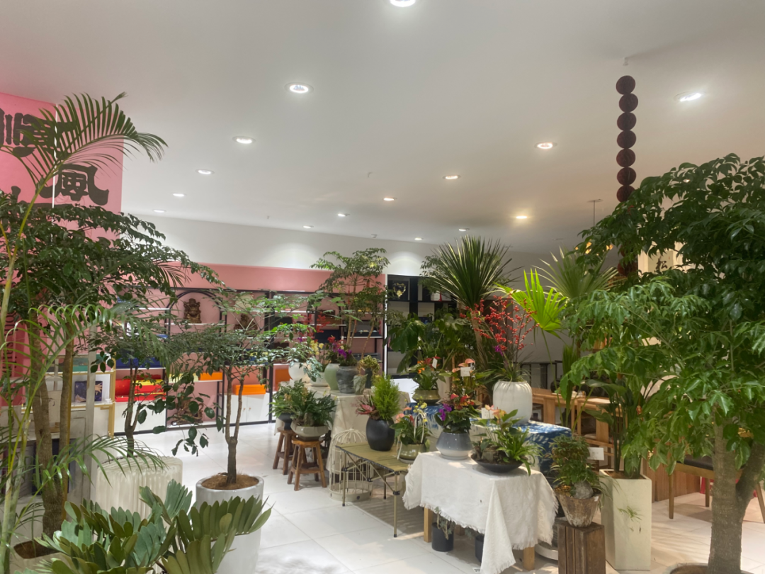 博思花藝婚慶教育，婚慶培訓(xùn)，花藝培訓(xùn)，插花培訓(xùn)，花藝師培訓(xùn)，主持人培訓(xùn)，商務(wù)主持人培訓(xùn)，花店運營培訓(xùn)，花店全系統(tǒng)營銷，小白開花店，小白學(xué)主持，金璽棠婚慶酒店，金璽棠總部，鄭州金麻雀教育科技有限公司