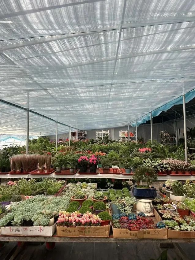 博思花藝婚慶教育，婚慶培訓(xùn)，花藝培訓(xùn)，插花培訓(xùn)，花藝師培訓(xùn)，主持人培訓(xùn)，商務(wù)主持人培訓(xùn)，花店運營培訓(xùn)，花店全系統(tǒng)營銷，小白開花店，小白學(xué)主持，金璽棠婚慶酒店，金璽棠總部，鄭州金麻雀教育科技有限公司