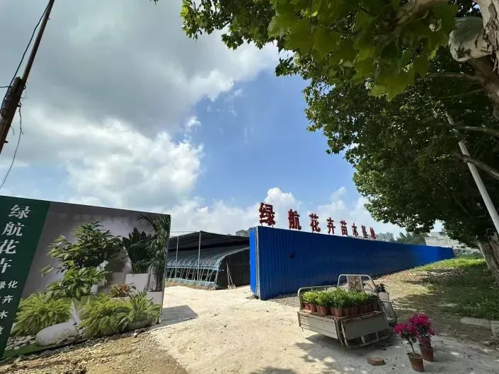 博思花藝婚慶教育，婚慶培訓(xùn)，花藝培訓(xùn)，插花培訓(xùn)，花藝師培訓(xùn)，主持人培訓(xùn)，商務(wù)主持人培訓(xùn)，花店運營培訓(xùn)，花店全系統(tǒng)營銷，小白開花店，小白學(xué)主持，金璽棠婚慶酒店，金璽棠總部，鄭州金麻雀教育科技有限公司