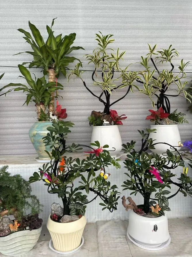 博思花藝婚慶教育，婚慶培訓(xùn)，花藝培訓(xùn)，插花培訓(xùn)，花藝師培訓(xùn)，主持人培訓(xùn)，商務(wù)主持人培訓(xùn)，花店運營培訓(xùn)，花店全系統(tǒng)營銷，小白開花店，小白學(xué)主持，金璽棠婚慶酒店，金璽棠總部，鄭州金麻雀教育科技有限公司