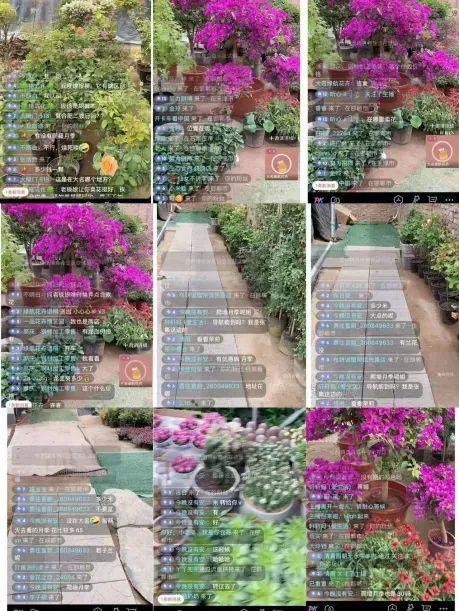 博思花藝婚慶教育，婚慶培訓(xùn)，花藝培訓(xùn)，插花培訓(xùn)，花藝師培訓(xùn)，主持人培訓(xùn)，商務(wù)主持人培訓(xùn)，花店運營培訓(xùn)，花店全系統(tǒng)營銷，小白開花店，小白學(xué)主持，金璽棠婚慶酒店，金璽棠總部，鄭州金麻雀教育科技有限公司