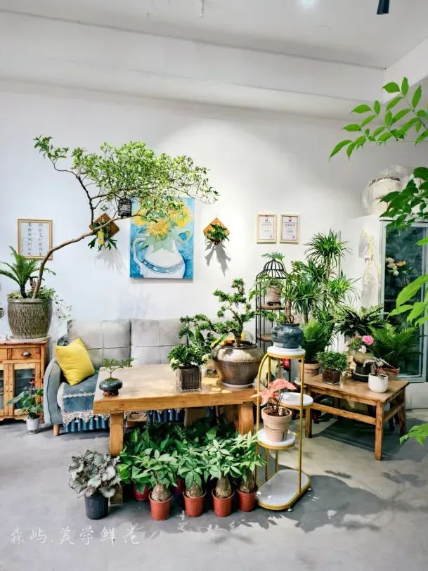 博思花藝婚慶教育，婚慶培訓(xùn)，花藝培訓(xùn)，插花培訓(xùn)，花藝師培訓(xùn)，主持人培訓(xùn)，商務(wù)主持人培訓(xùn)，花店運(yùn)營(yíng)培訓(xùn)，花店全系統(tǒng)營(yíng)銷，小白開(kāi)花店，小白學(xué)主持，金璽棠婚慶酒店，金璽棠總部，鄭州金麻雀教育科技有限公司