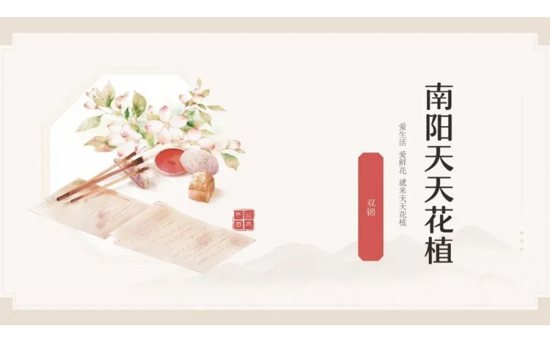 頌花匠-南陽天天花植端午節(jié)沙龍-分享人雙錦